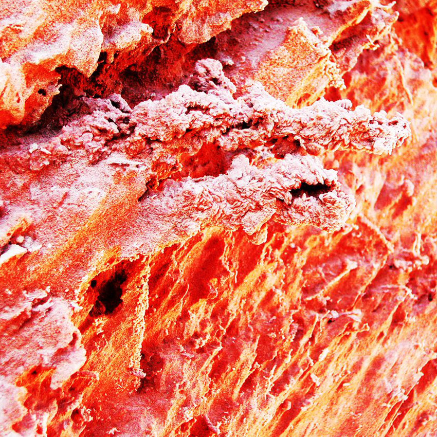 Gypsum Formed in Many Shapes Emirates Soil Museum